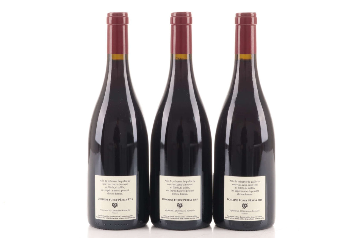 Domaine Forey Pere et Fils Forey Vosne-Romanee 1er Cru Les Gaudichots 2013