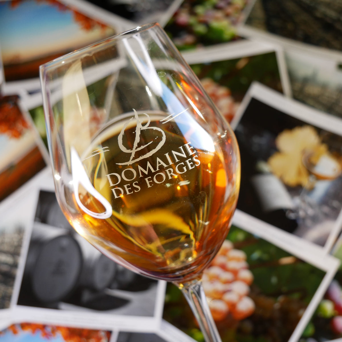 Domaine des Forges Quarts de Chaume Grand Cru 2018