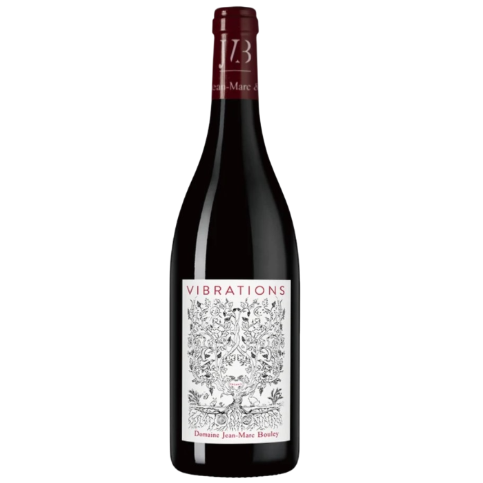 Domaine Jean-Marc et Thomas Bouley Bourgogne Hautes Cotes de Beaune 'Vibrations' 2022
